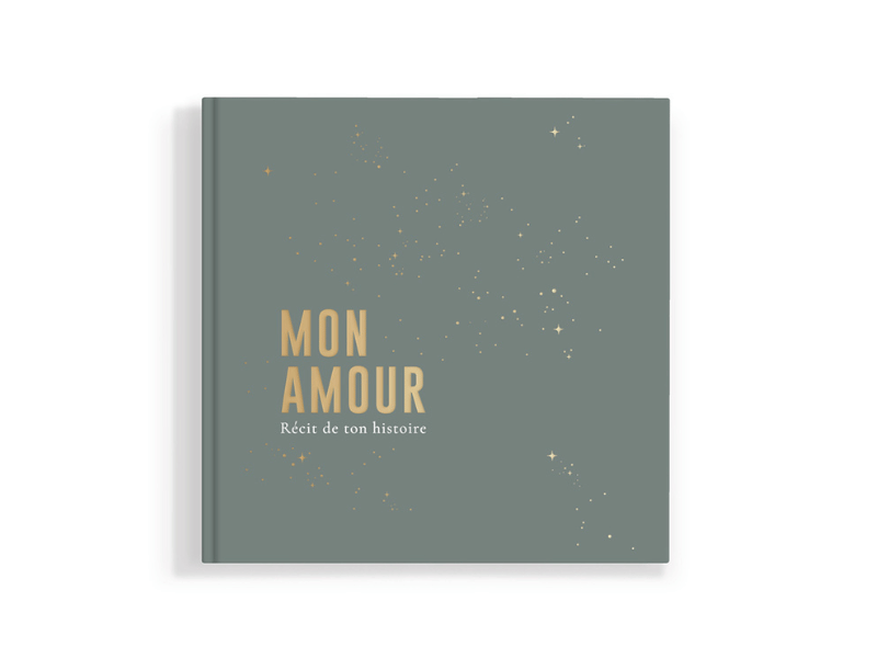 Livre de naissance – Brume
